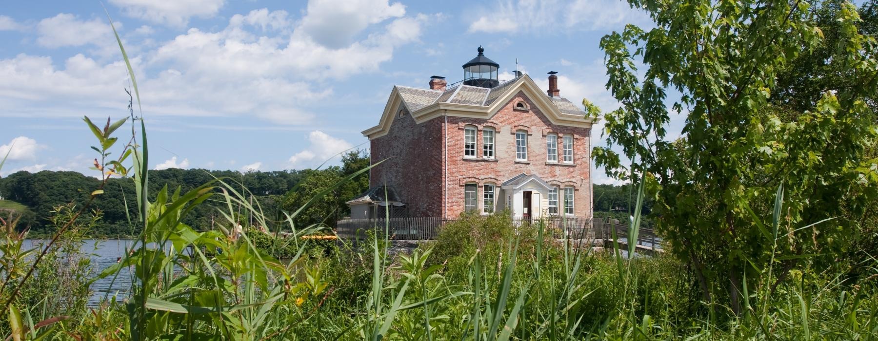 a house surrounded by plants